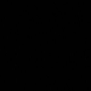 Meet your Posher, Opal